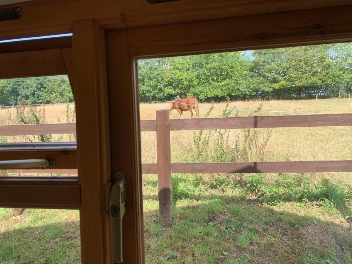 Stable 2 Bedrooms Holiday home *